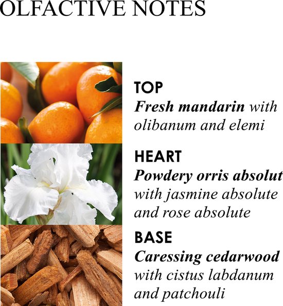 MOLTON BROWN Suede Orris Enveloping Body Oil 100 ml bodyoil