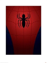 Pyramid Ultimate Spider-Man Spider-Man Torso Kunstdruk 60x80cm Poster - 60x80cm