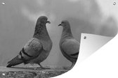 Tuinposter - Tuindoek - Tuinposters buiten - Twee duiven op een wazige achtergrond - zwart wit - 120x80 cm - Tuin