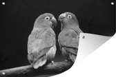 Muurdecoratie Lovebirds papegaaitjes fotoprint - zwart wit - 180x120 cm - Tuinposter - Tuindoek - Buitenposter