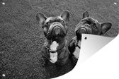 Tuindecoratie Twee Franse bulldogs op het gras - zwart wit - 60x40 cm - Tuinposter - Tuindoek - Buitenposter