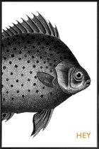 JUNIQE - Poster in kunststof lijst Hey Fish -30x45 /Wit & Zwart