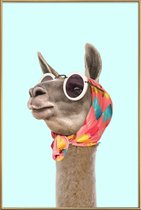 JUNIQE - Poster met kunststof lijst Fashion Llama -40x60 /Blauw &