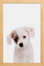 JUNIQE - Poster in houten lijst Puppy -40x60 /Bruin & Wit