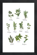JUNIQE - Poster in houten lijst Herbs Collection -20x30 /Groen & Wit