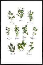 JUNIQE - Poster in kunststof lijst Herbs Collection -40x60 /Groen &