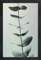 JUNIQE - Poster met houten lijst Eucalyptus Green -13x18 /Groen & Wit