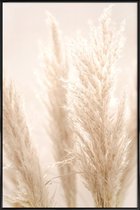 JUNIQE - Poster in kunststof lijst Pampas Reed 8 -20x30 /Ivoor & Wit