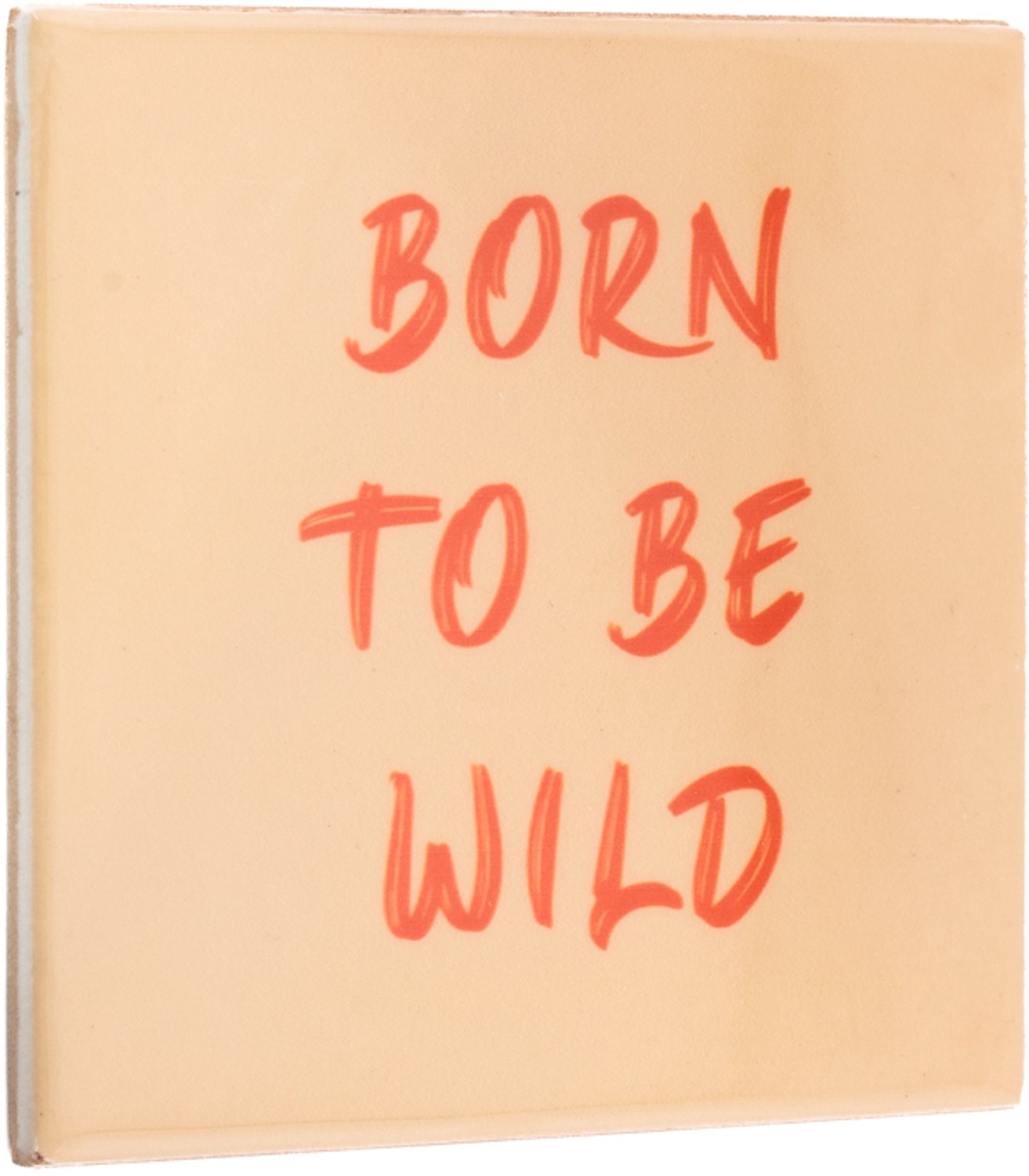 Tegeltje born to be wild