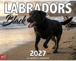 Zwarte Labrador Retriever Kalender 2027