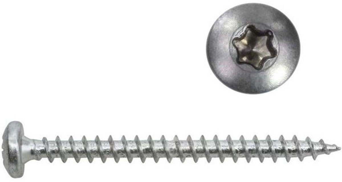 Roestvrijstalen Panhead Schroeven 5x35 mm Torx - 100 stuks Houtschroeven Volledige Schroefdraad