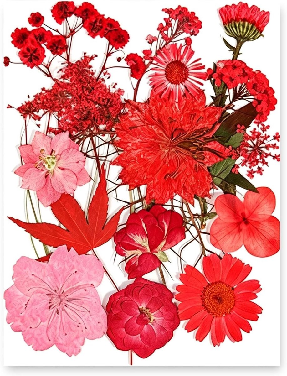 Natuurlijke Gedroogde Bloemen en Petalen voor Resin Sieraden, Epoxy Kunst, Scrapbooking en Kaarten Maken, Kaarsen en Decoratie