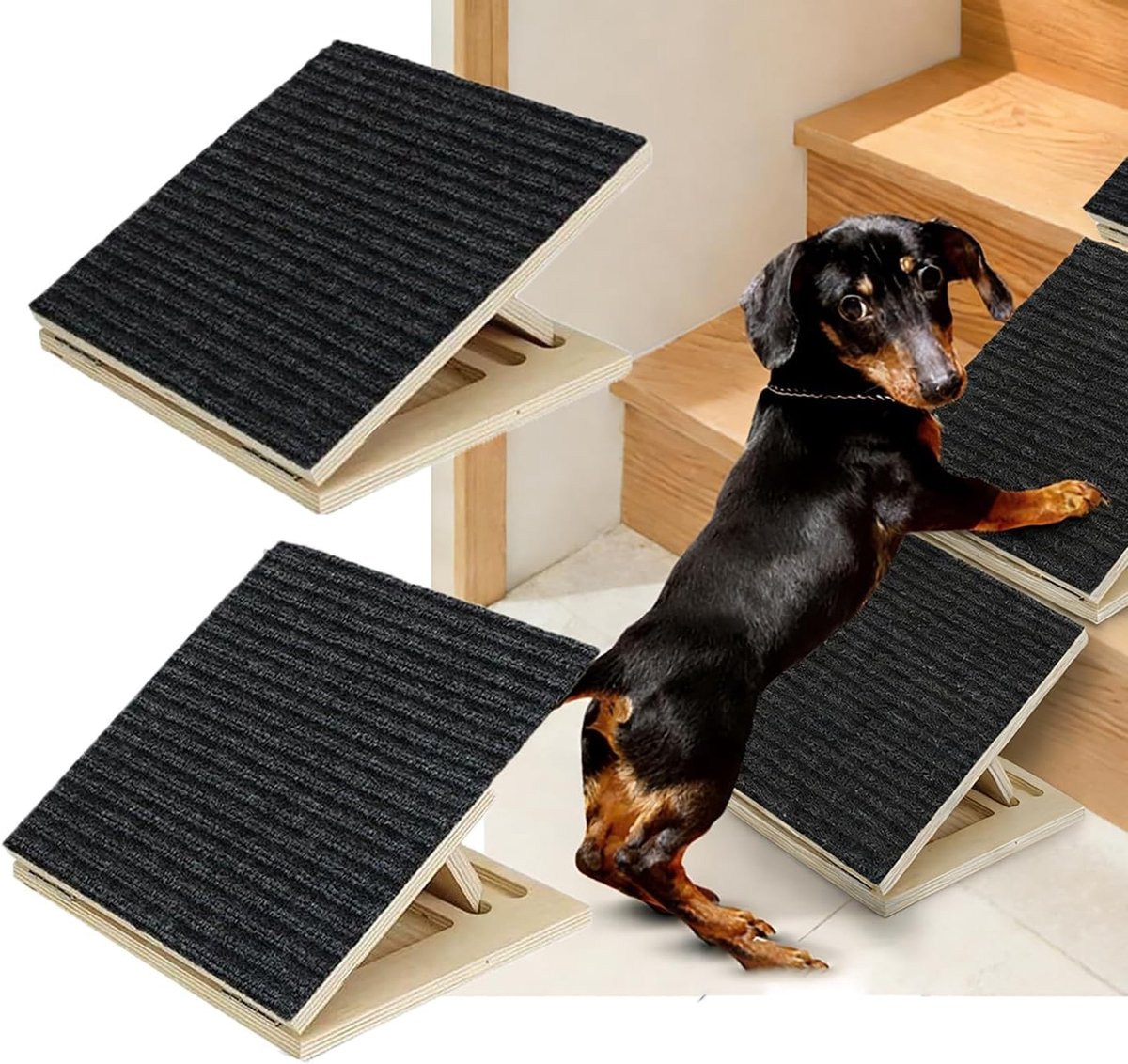 Hondentrap met Antislip Tapijt, 2 Stuks, Lage Hellingshoek Ramps voor Kleine en Middelgrote Huisdieren