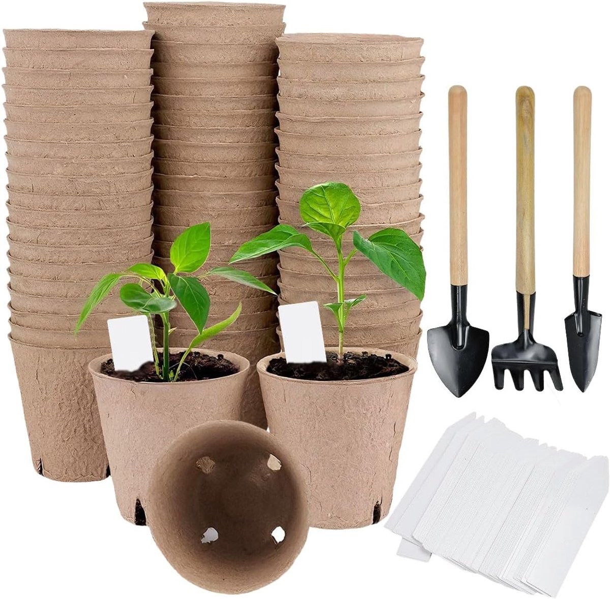 Set voor vezelplantenschalen