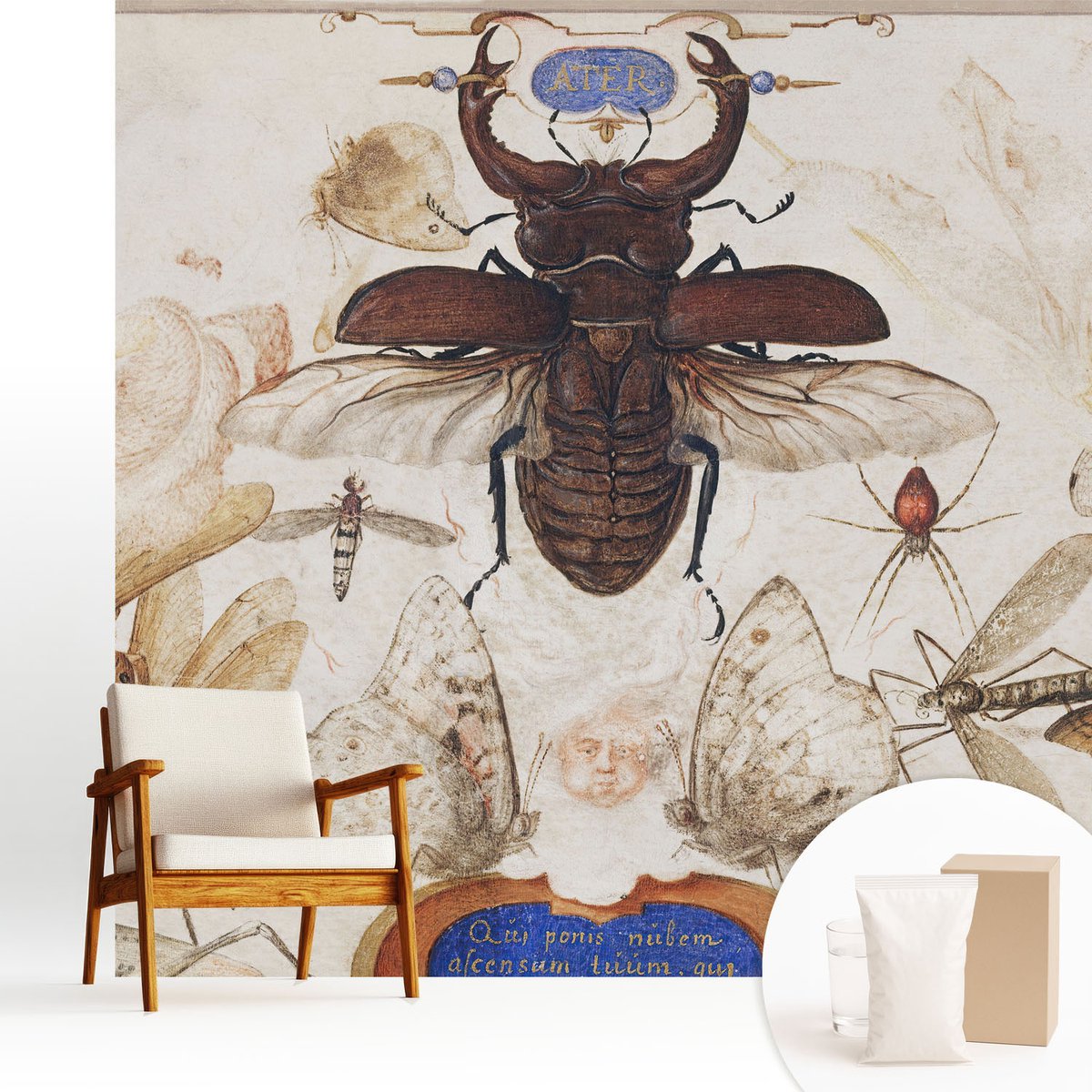 Wallfluent Fotobehang - Wit Vliesbehang - 250x250 cm - Natuurlijke Harmonie Muurschildering - Slaapkamer behang Ander - Fotobehang Vlies - Gang behang