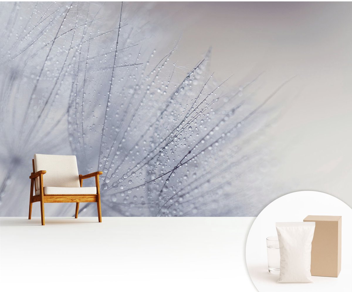 Wallfluent Fotobehang - Wit Vliesbehang - 416x254 cm - Dauwige Paardenbloem Muurschildering - Gang behang Bloemen En Planten - Fotobehang Vlies - Slaapkamer behang