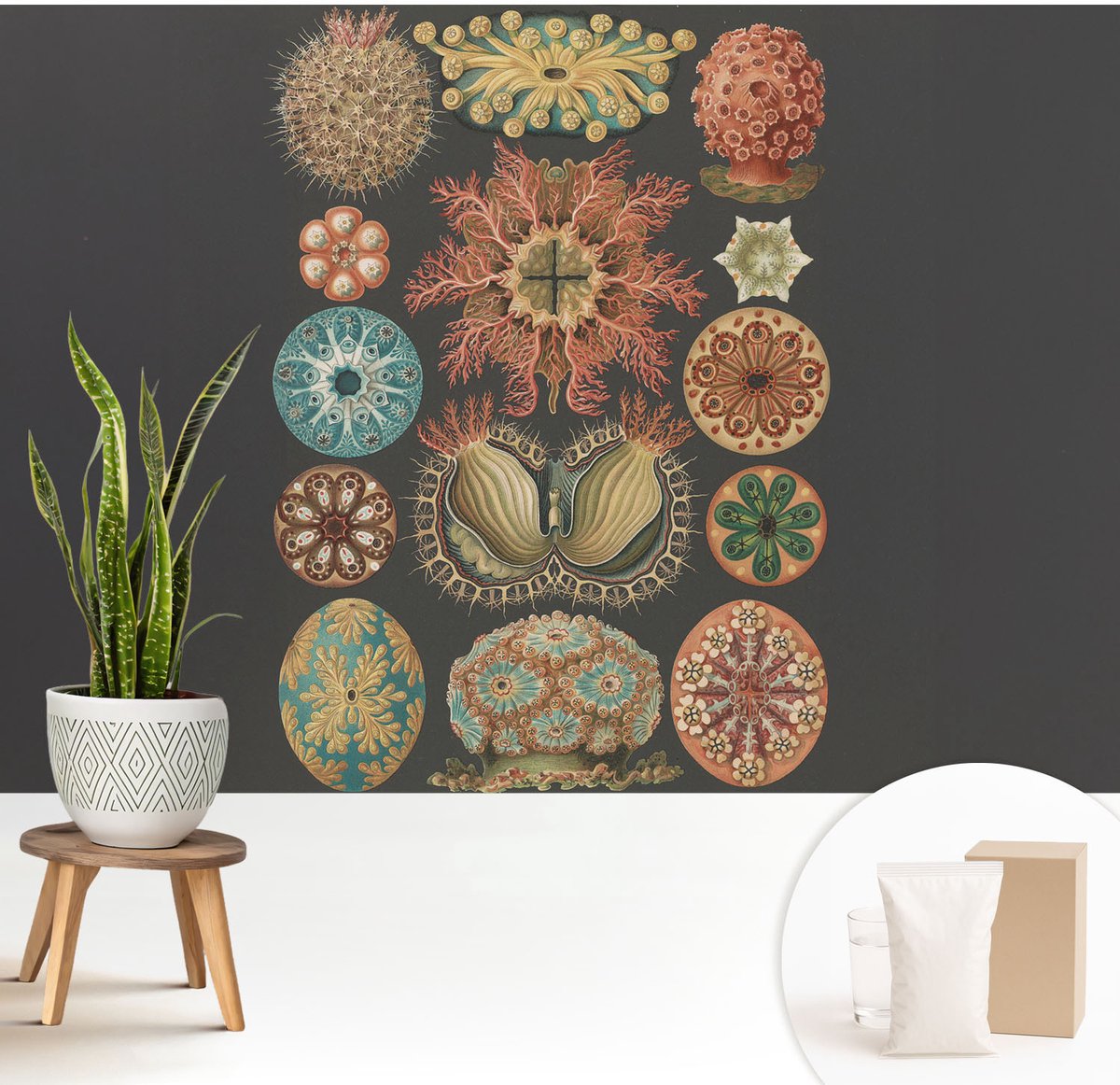 Wallfluent Fotobehang - Zwart Vliesbehang - 208x146 cm - Inspiratie Uit De Zee Fotobehang Vlies - Hal behang Deel - Muurschildering - Woonkamer behang