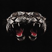Dead Company