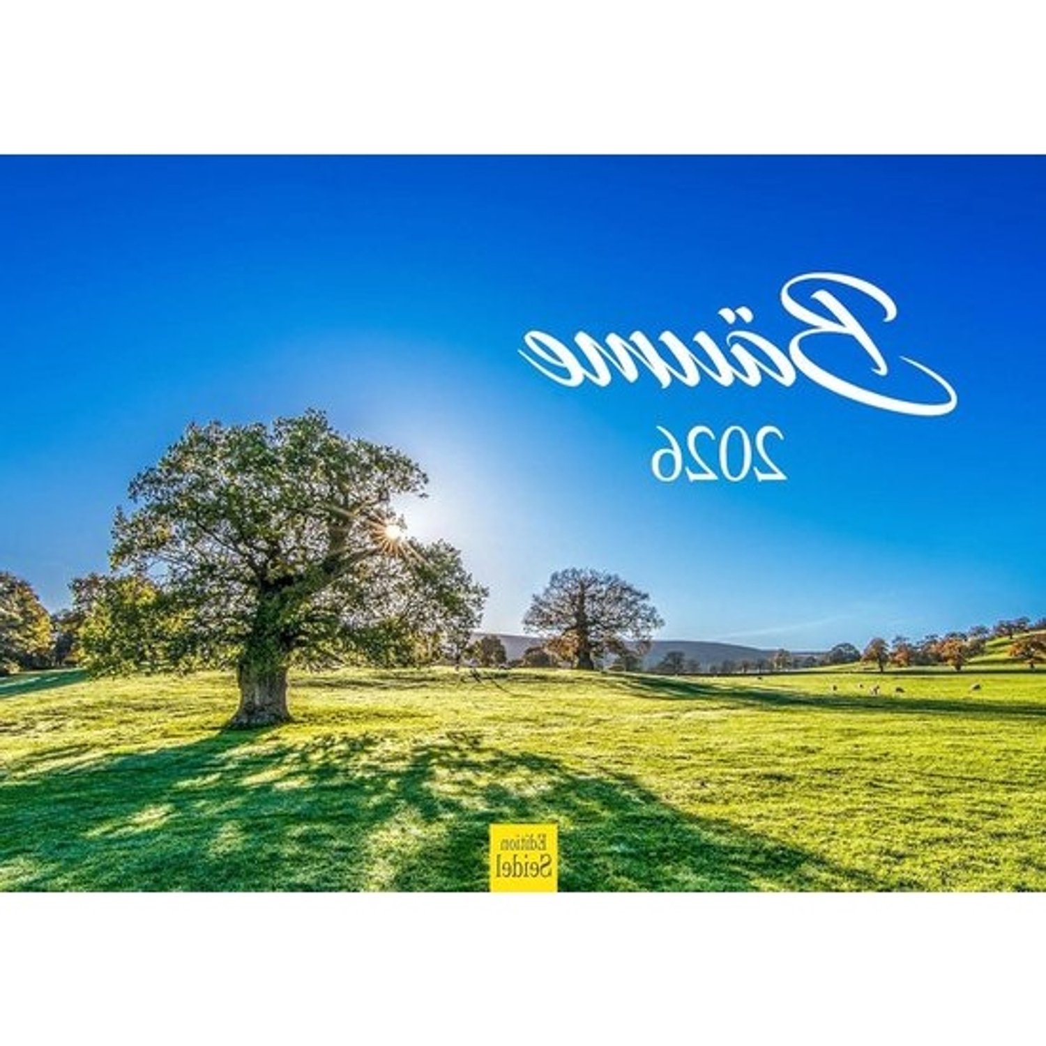 Kalender met bomen - Natuurkalender - Jaaroverzicht - Hoogwaardig papier - DIN A3 - Natuurlijk