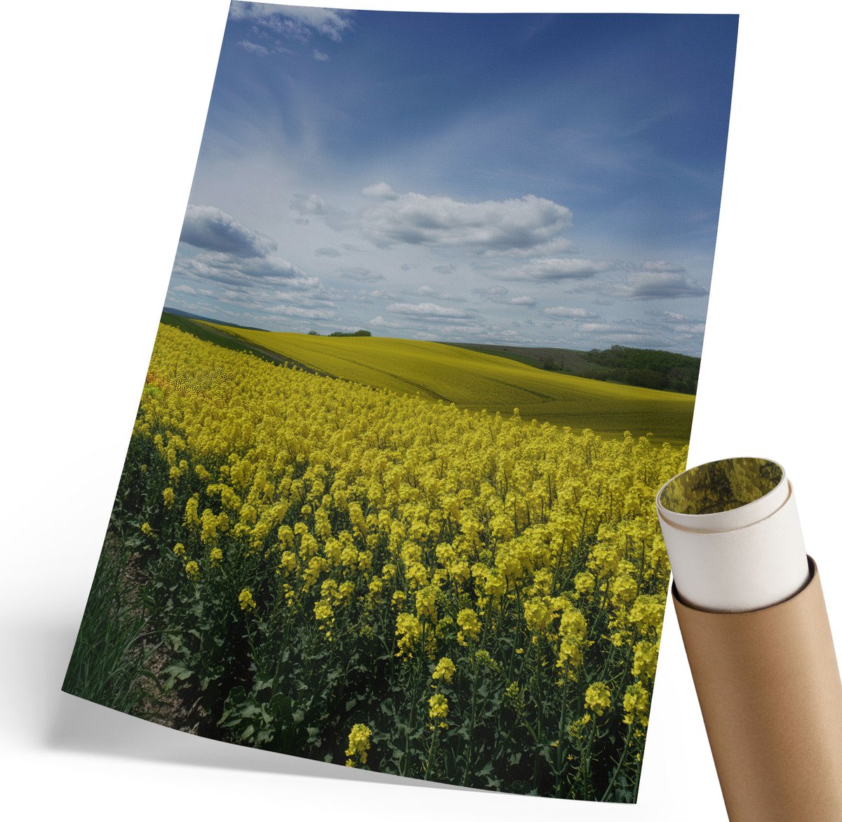 Coloray Canvas Poster Polycanvas - Koolzaadvelden, Fotografie - 210 x 297 mm - Geel Decoratie - Rechthoek - Wandkunst - Woonkamer, Slaapkamer, Kantoor - Klassiek