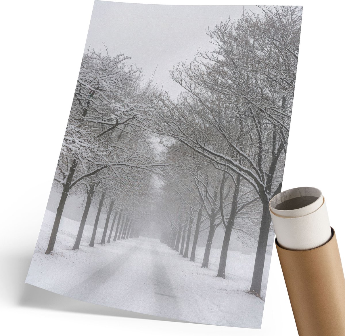 Coloray Polycanvas Poster - Besneeuwde Steeg, Fotografie - 210 x 297 mm - Wit Illustratie - Rechthoek - Muurdecoratie - Woonkamer, Slaapkamer, Kantoor - Klassiek