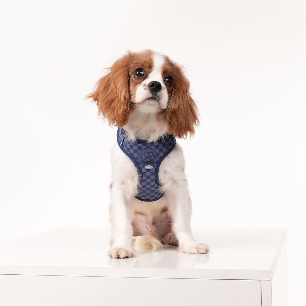 Verstelbaar mesh harnas en riem voor honden en katten, anti-verstikking, ruitpatroon, maat S/M voor kleine en middelgrote huisdieren