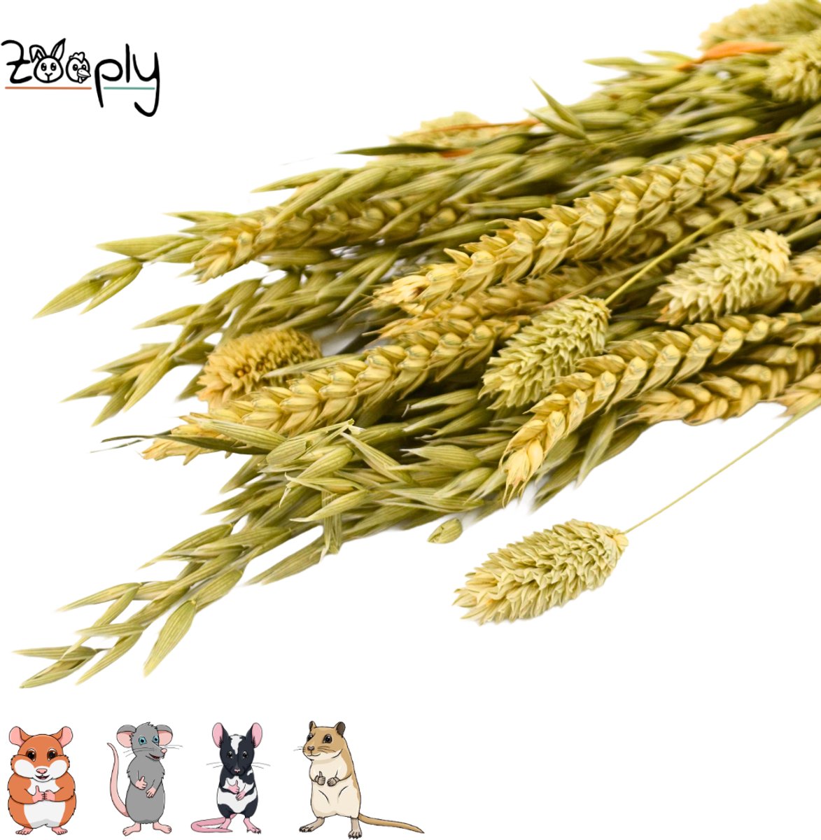 Zooply Weidegras boeket - 100 gram - in koker