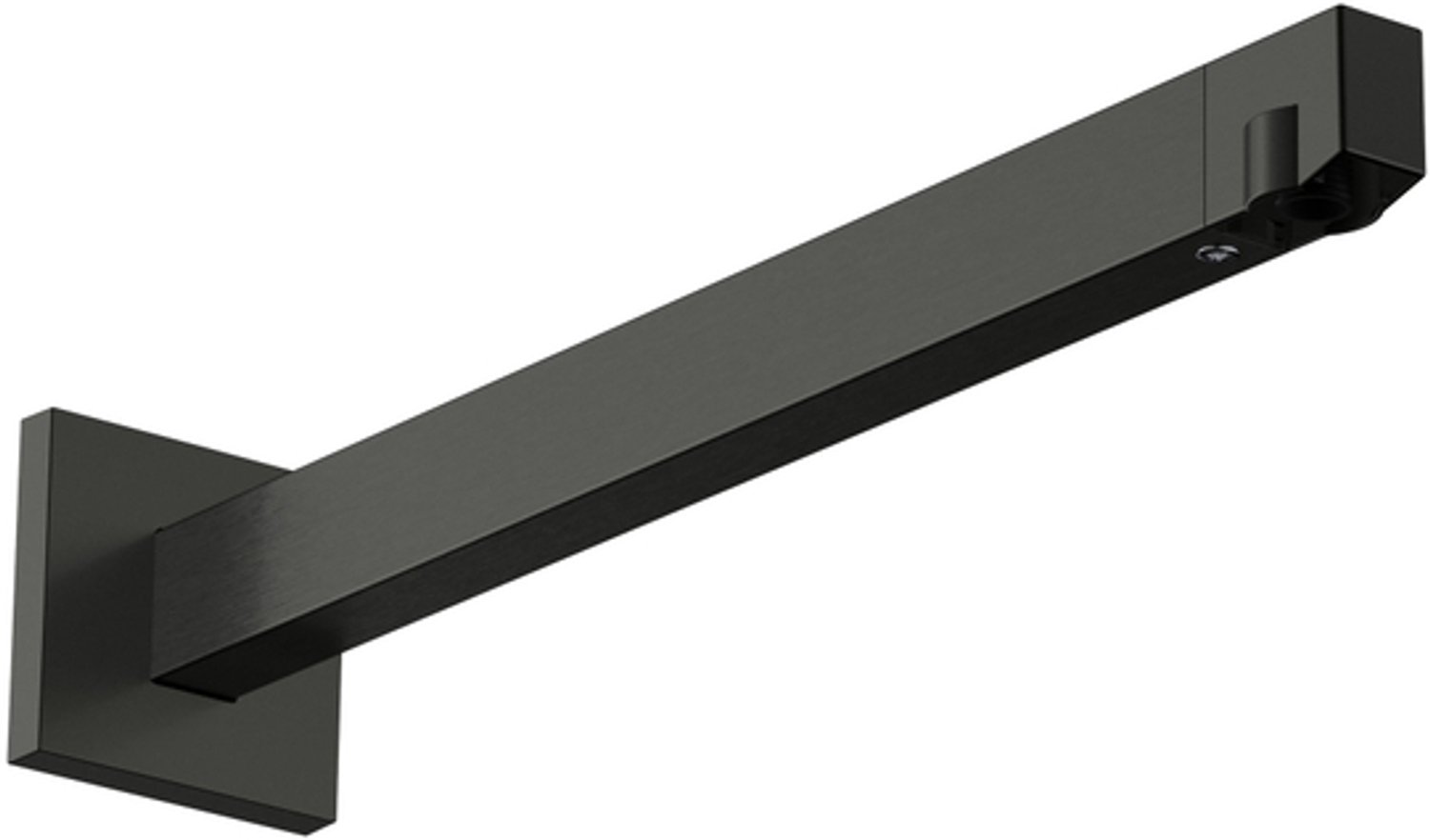 Hansgrohe Raindance Alive douchearm - 39cm - wand - brushed black chrome (zwart)