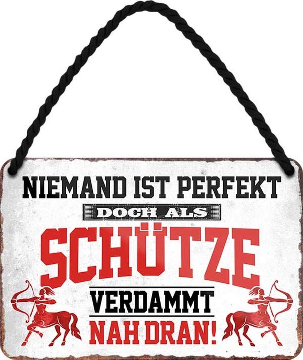 / A sterrenbeeld beschermer Niemand is perfect 18x12 cm metalen bord hangbord HS47