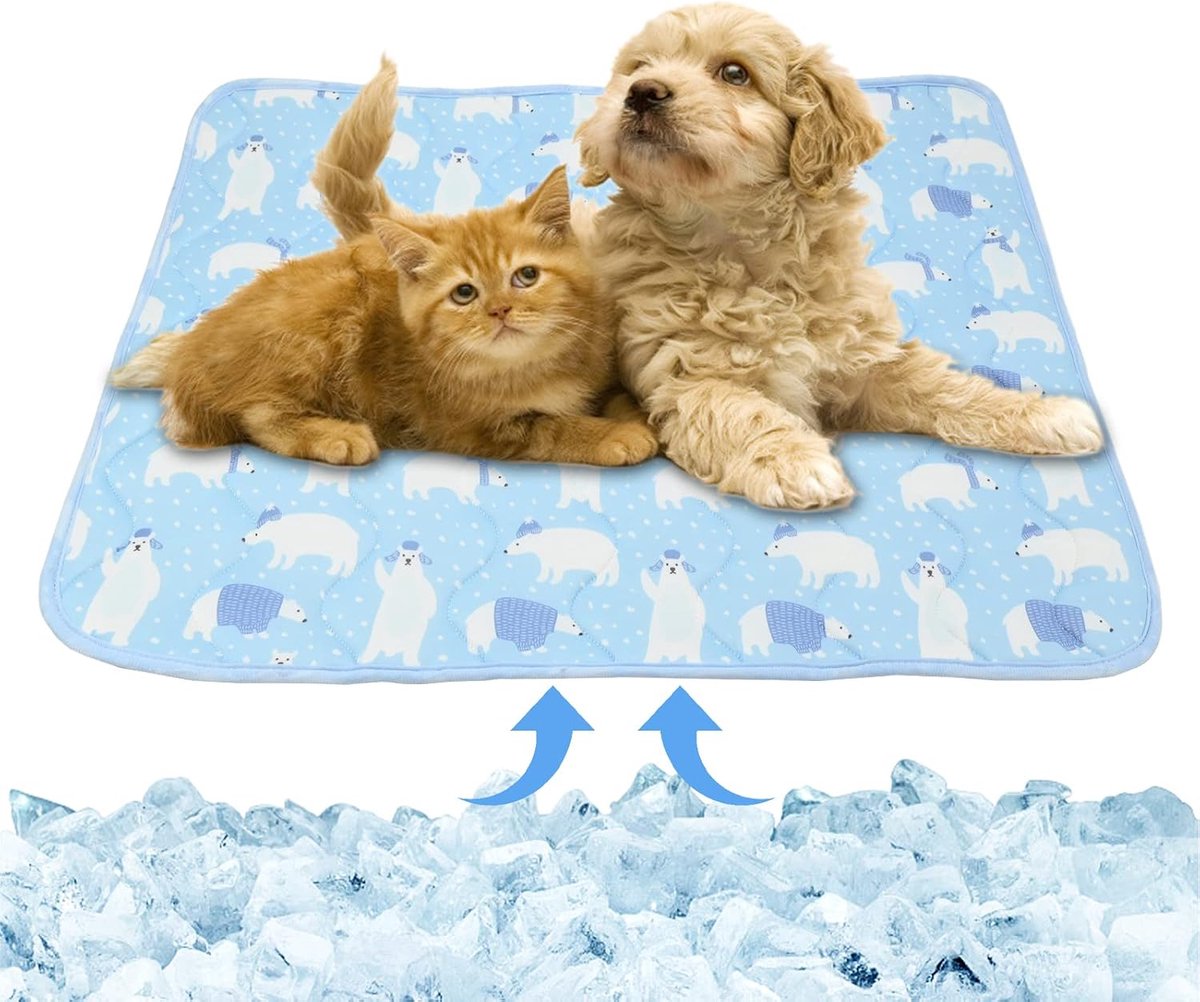 Koelmat voor honden, 55 x 70 cm, koelmat, katten, honden, koelmat, huisdier, koelmat, zelfkoelende mat, koelmat, hond, geschikt voor thuis of auto, hondenhok, outdoor (blauw)