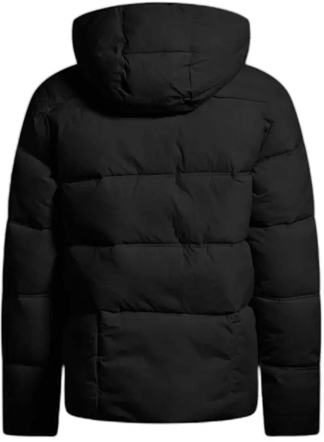 Donsjack voor dames Joma Urban Aesthetics Zwart