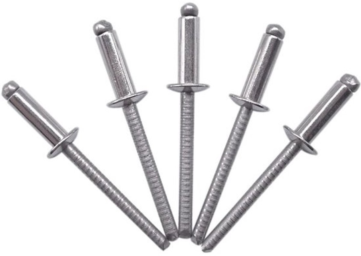 Pack van 100 Blinde Klinknagels 4,0 x 10 mm - Koepelkop Popklinknagels DIN 7337