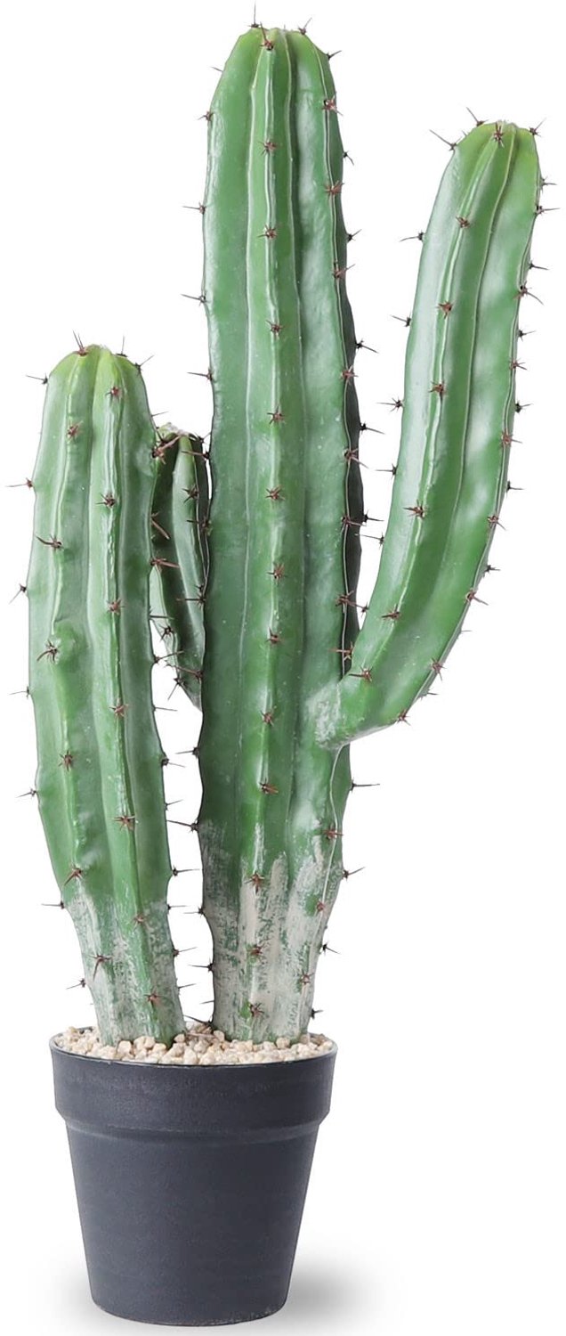 Kunstmatige cactus 25 inch - nepplant - ideaal voor interieurdecoratie - onderhoudsvriendelijk - m-winkel