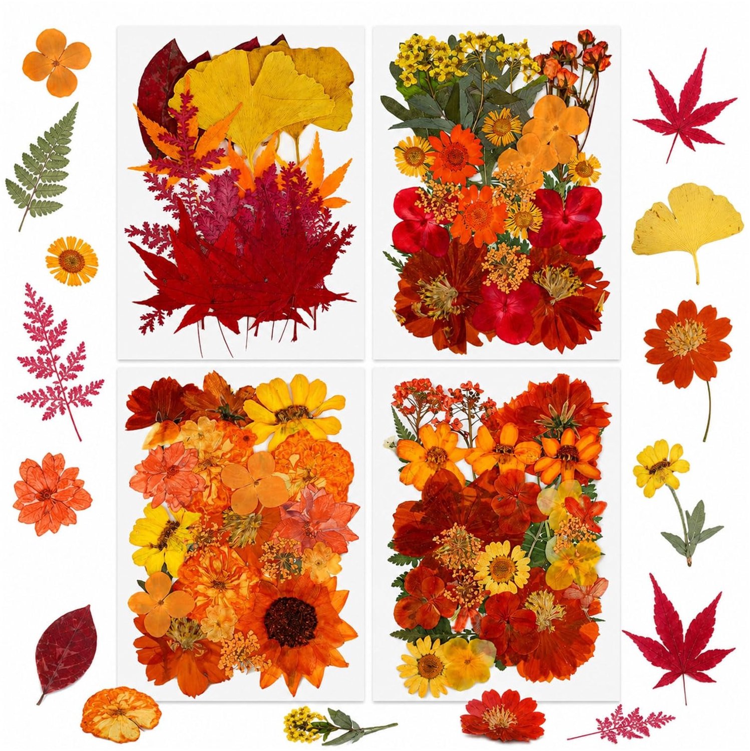 Famanu Herfst gedroogde bloemen collectie van 100 stuks voor knutselen en decoratie