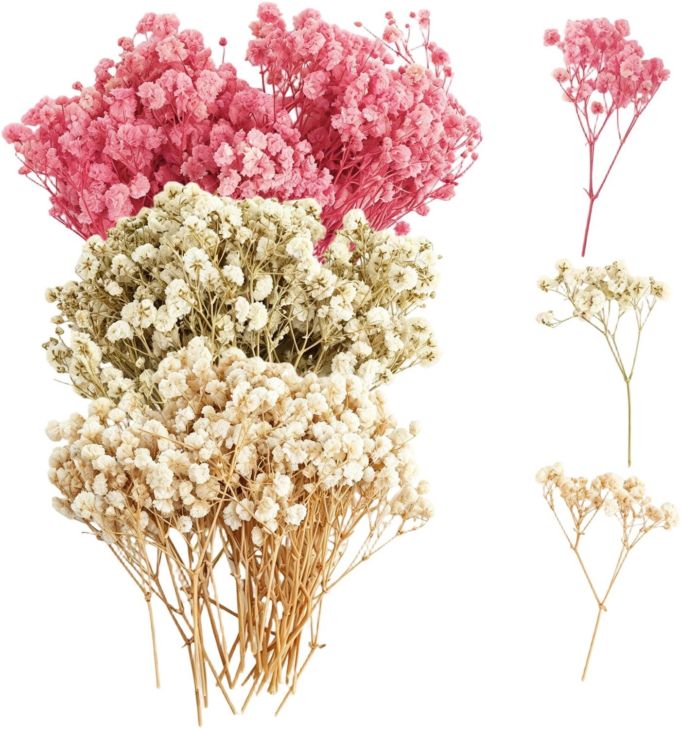 Famanu Set van 100 gedroogde gypsophila bloemen voor knutselen en decoratie