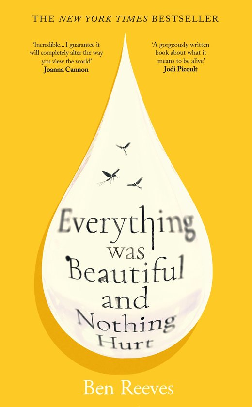Everything was Beautiful and Nothing Hurt