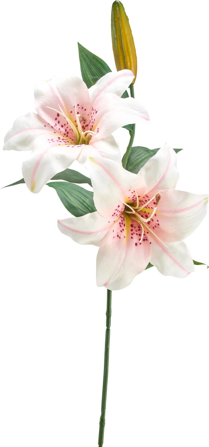 Easyplants | Kunstbloem Lelie 66 cm wit/roze | Zijde | Nepbloemen | roze | Onderhoudsvrij | Kant-en-klaar
