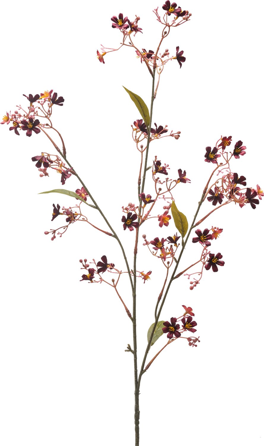Easyplants | Kunstbloem Daphne 108 cm bordeaux | Zijde | Nepbloemen | bordeaux | Onderhoudsvrij | Kant-en-klaar