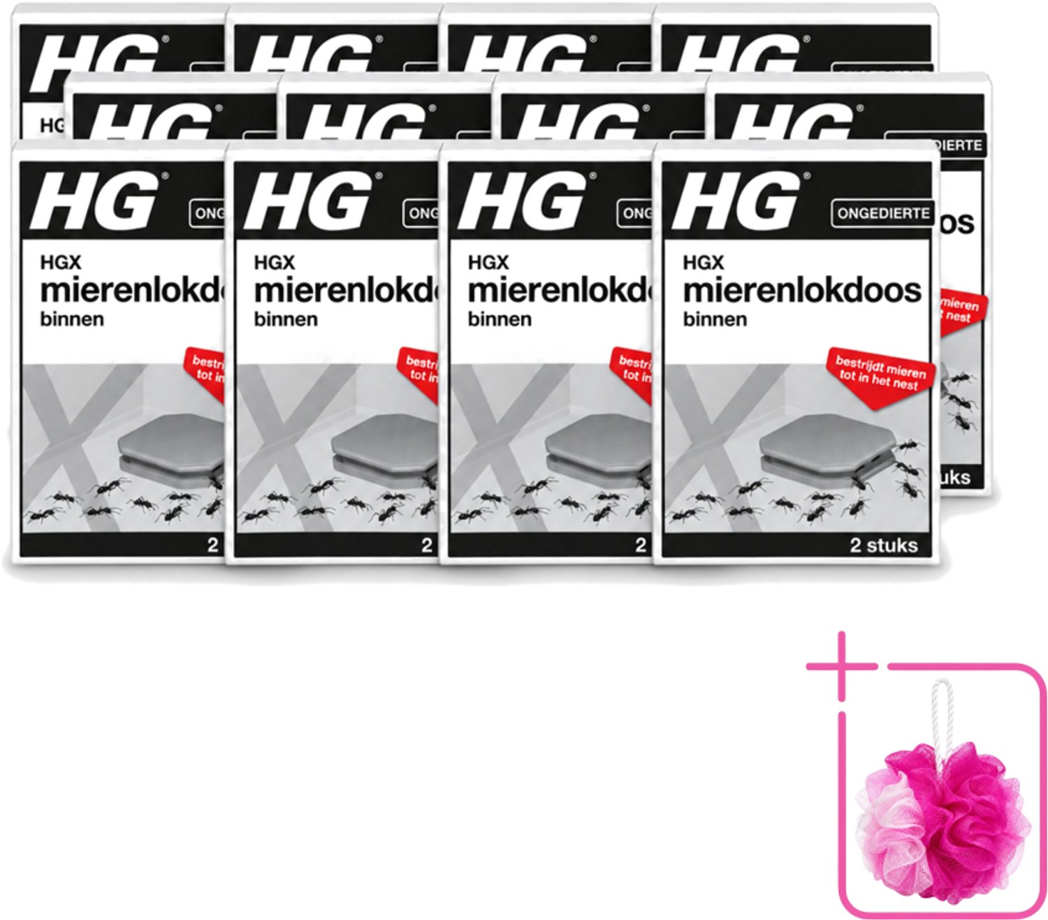 12 x HG X - Ongedierte - Mierenlokdoos Binnen - Bestrijdt Tot In Het Nest - 2 Doosjes - Bulkverpakking - Mierenbestrijding binnen - Douchemop - Mierenlokdoos