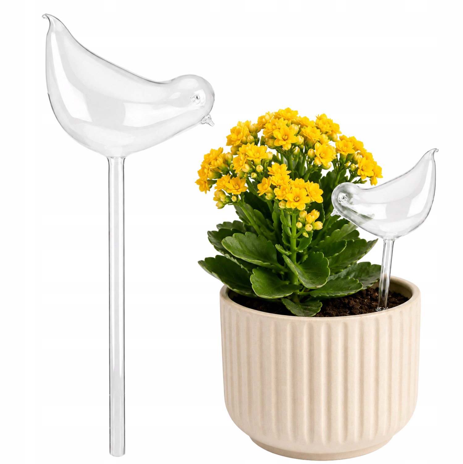 Automatische plantenvoeding vogel 120ml XL decoratieve watergever