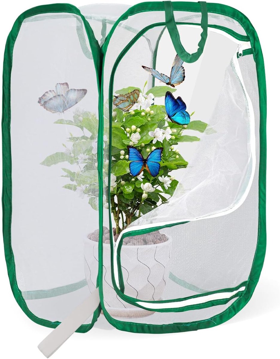 Insect Cage, Butterfly Habitat, Mesh Plant Cover - 46 x 46 x 61 cm Foldable Pop Up Enclosure (18 x 18 x 24 inches) - ShopVlot