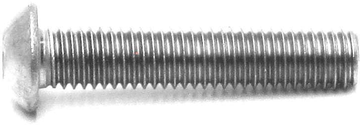 Inbusbouten bolkop M5 x 25 mm RVS 25 stuks