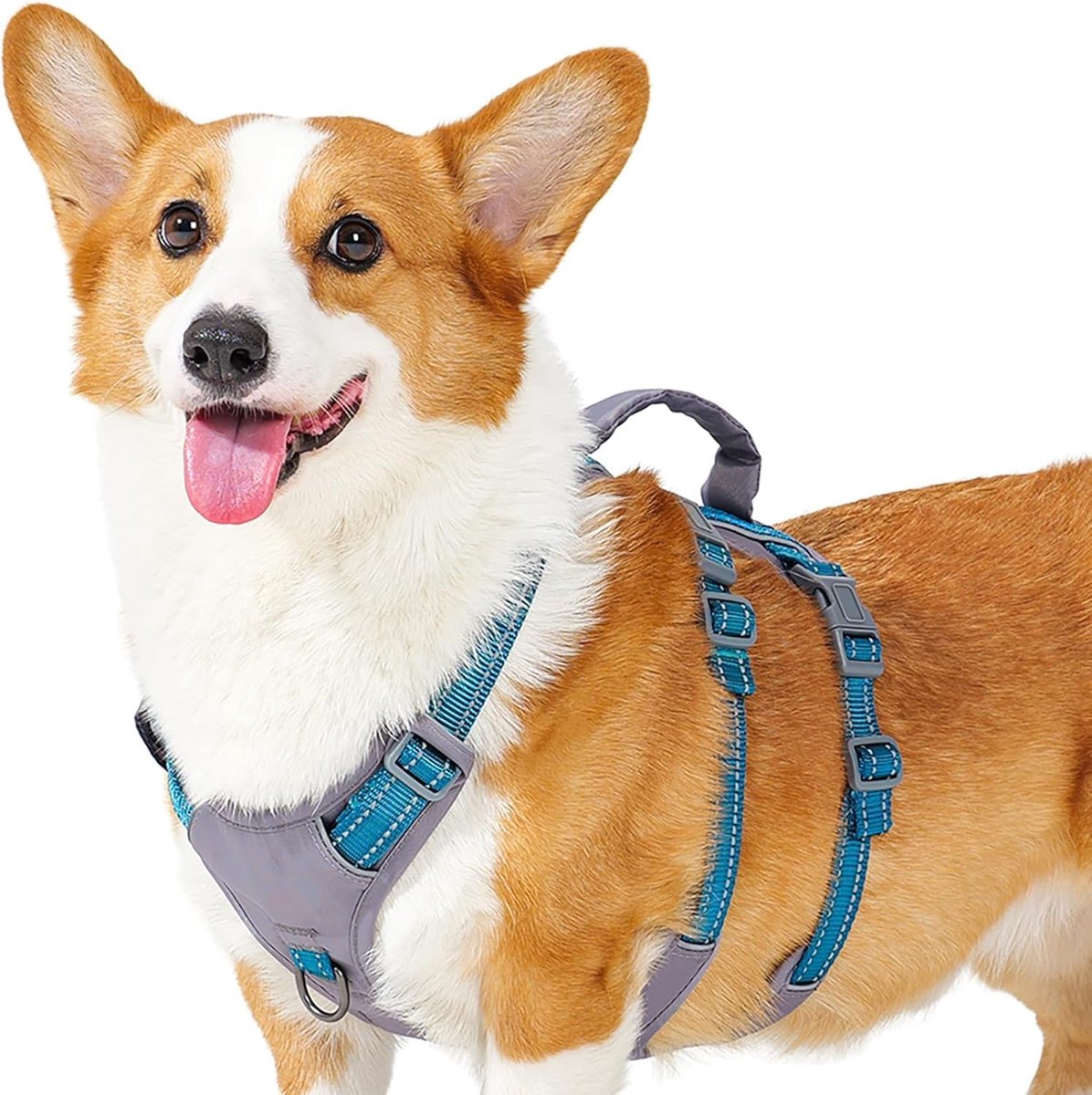 Ontsnapbestendig Hondentuig Medium, Anti-Trek Hondentuig met Handvat, Ademend, Verstelbaar, Reflecterende, Lichtgewicht Hondentuig voor Kleine en Grote Honden Buiten (Blauwgroen,M)