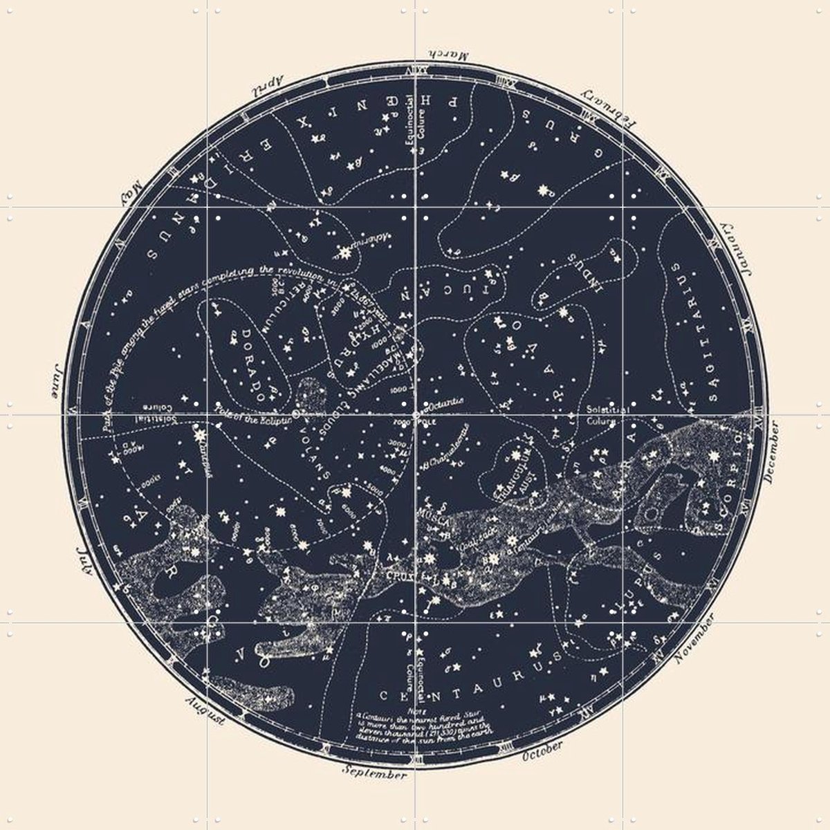 IXXI Southern Constellations, Aster Edition - 80 x 80 cm - Gratis ophangtool - Grote wanddecoratie en posters - Technische Tekening, Vintage