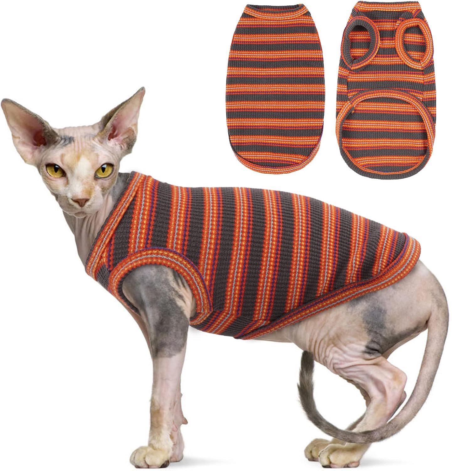 Sphynx Kattenkleding, ademende haarloze kattenshirts, gestreepte kitten-T-shirts mouwloos, pullover kattentruien, huisdierzomerkleding voor Sphynx, Cornish Rex, Devon Rex, Peterbald, kleine