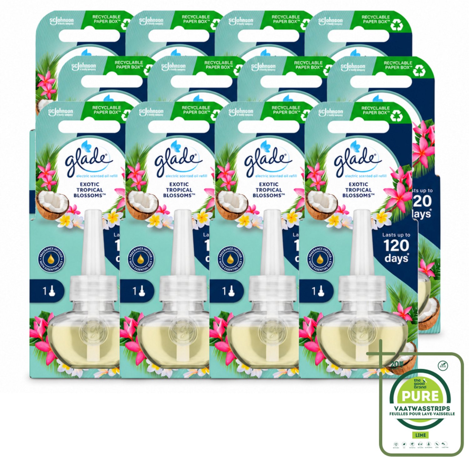 12 x Glade - Navulling Elektrische Olie - Exotic Tropical Blossoms - Zonder Houder - Grootverpakking - Vaatwasstrips - Tropische Geur - Monoi Olie - Exotische Bloemen - Kokosmelk - Geurhoudend