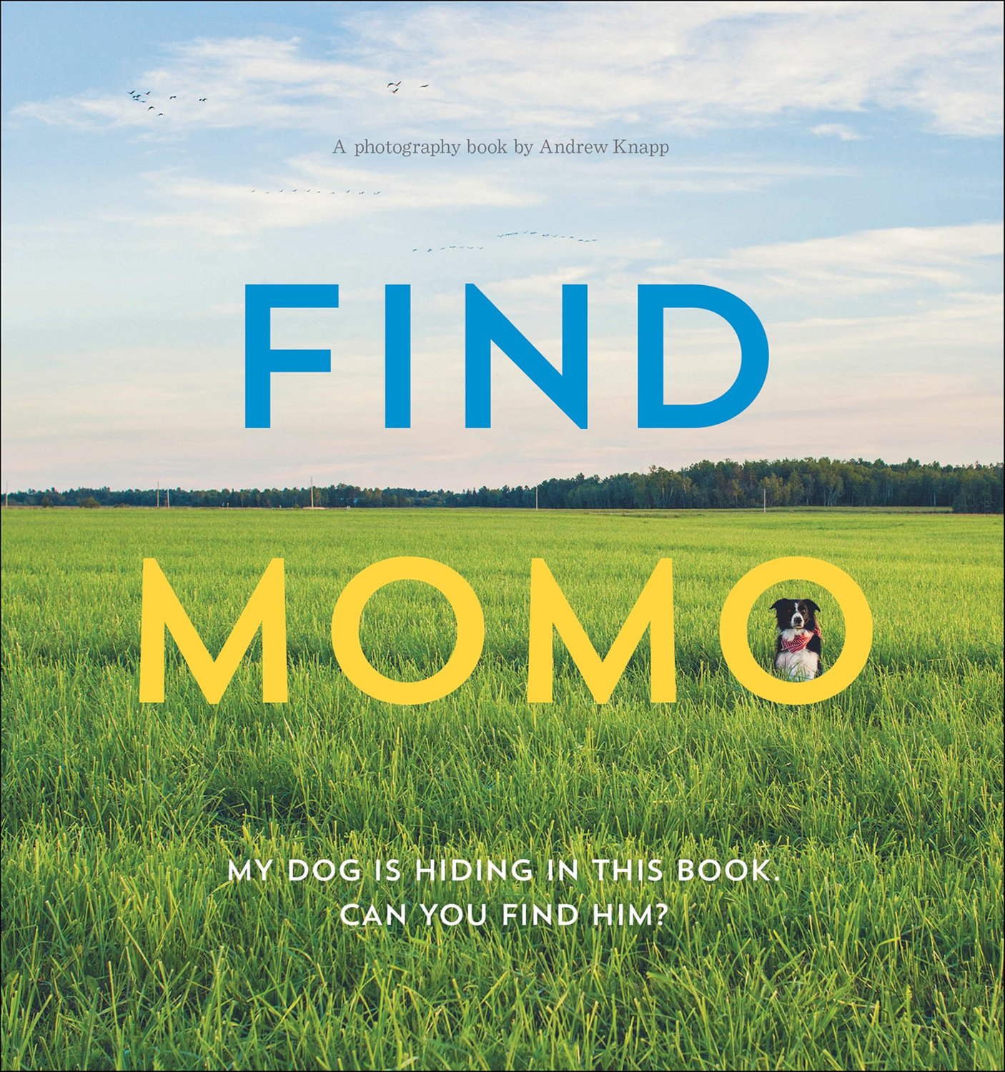 Find Momo