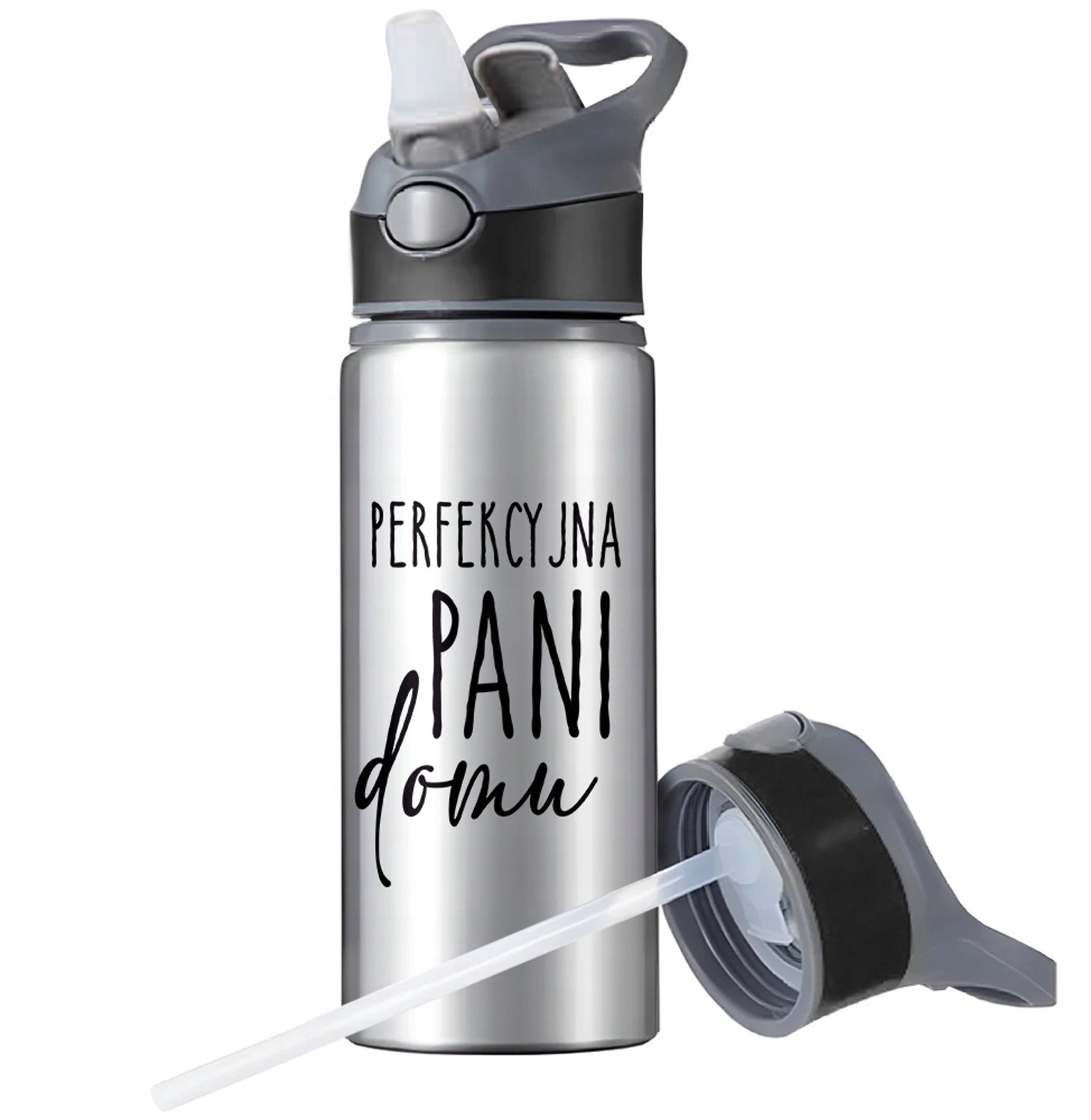 Aluminium Sport Bidon 650ml met Rietje en Handvat - Zilver