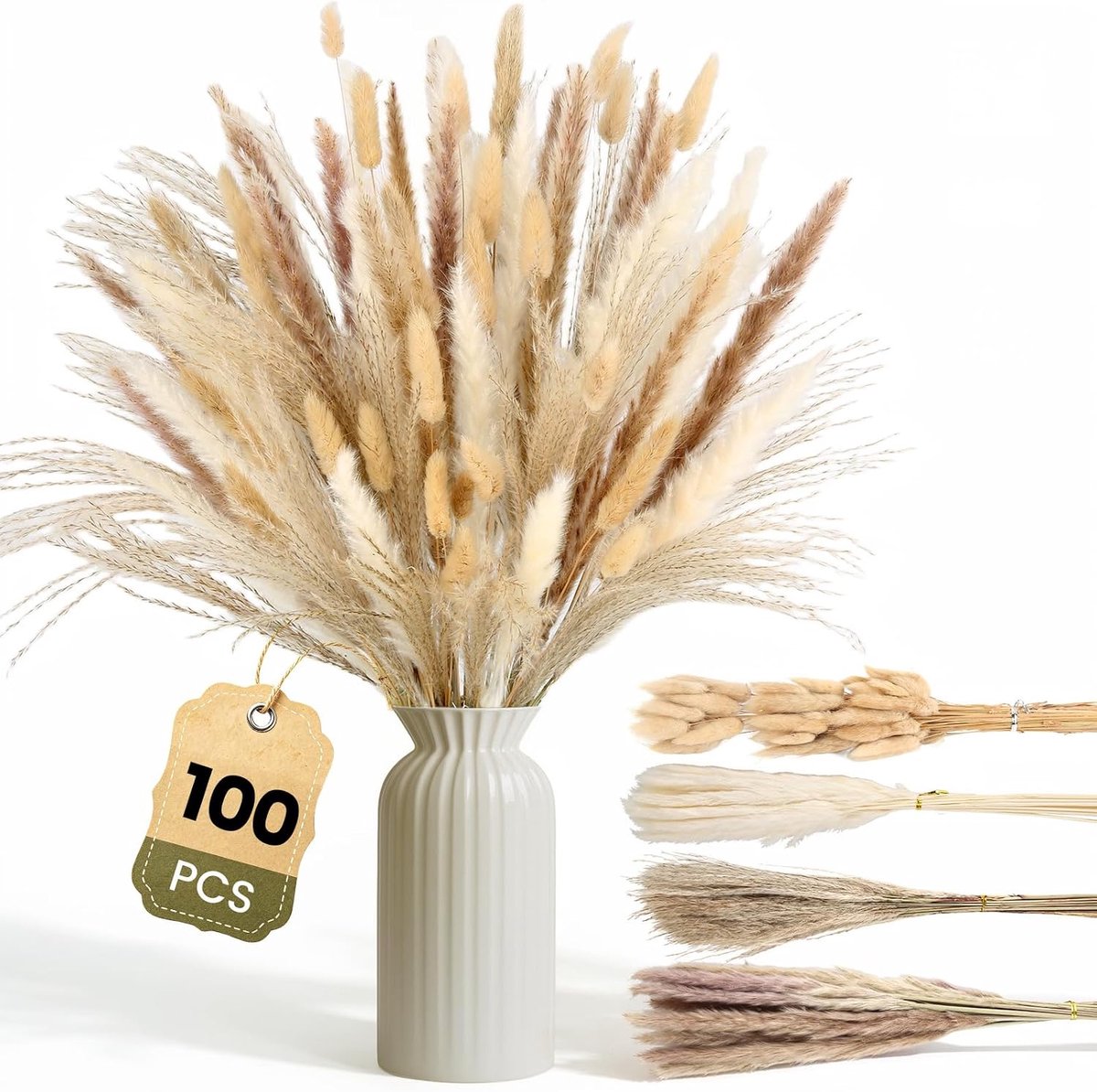 Gedroogd Pampasgras, 100 stuks Pampasdecoratie
