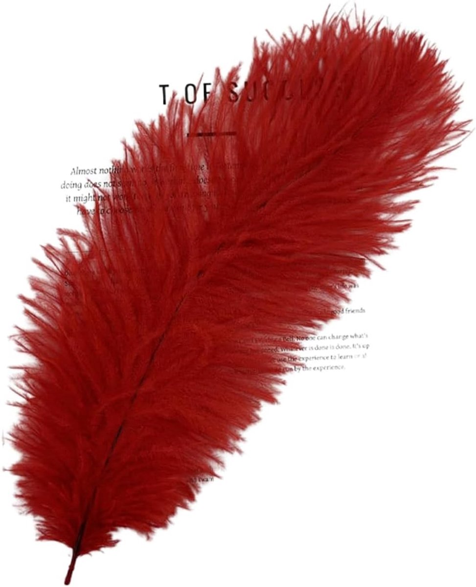 Veren, natuurlijk boeket, veren, plum, mooi boeket, veren, decoratieve veren, zachte struisvogelveren om te knutselen, meerkleurig, voor bruiloft, thuis, kostuums